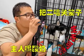 主人把狗狗骗进笼子，自己却躲在笼子外面喝酸奶，二哈都快气哭了视频封面