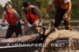 美国为了消灭亚洲鲤鱼，往河里放生一条“鳄雀鳝”，网友：你确定视频封面