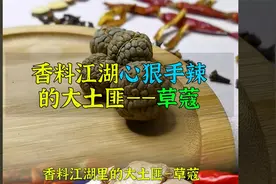 香料江湖“心狠手辣”的大土匪—草蔻，你有用过它吗？视频封面