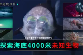 人类目前只探索了5%的海洋，在我们仰望星空时，脚下世界依然神秘视频封面