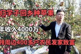 海归回乡种苹果，3年收入4000万，带领周边400多户农民发家致富视频封面