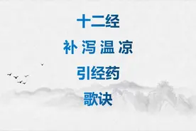 十二经用药歌诀举例，绝对是中医前辈总结好的经验，建议收藏备用视频封面