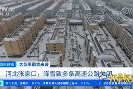 河北张家口：降雪致多条高速公路关闭|经济信息联播视频封面