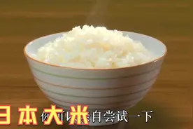 手把手教你煮大米饭，日本人是怎么煮饭的，1杯米应该放多少水？视频封面