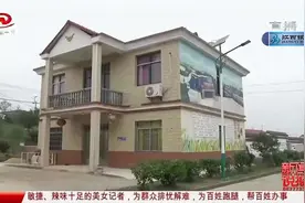 新建区联圩镇肖淇村：生活大变样，乡村展新颜视频封面