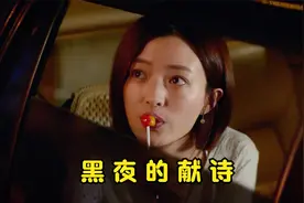 “黑雨滴一样的鸟群，从黄昏飞入黑夜”视频封面