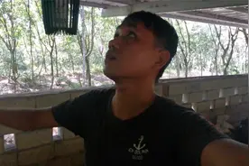 羊圈里密密麻麻的蚊子，放个电击捕蚊灯一晚能抓多少视频封面