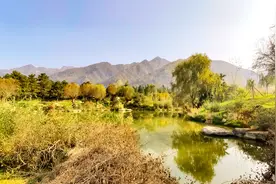实拍免费景区秦岭和谐森林公园，秋色正浓，风景宜人视频封面