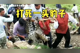 真实纪录：印度人乱棍打死一头豹子视频封面