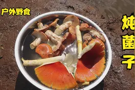 云南山里露营野炊，采些野生菌炖红烧肉太香了视频封面
