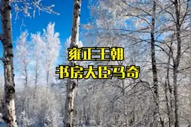 雍正王朝 书房大臣马奇视频封面