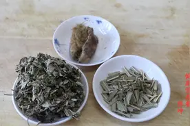 脚气来袭、痒痛难忍，3味中药煮水泡脚，消炎杀菌，改善脚部健康视频封面