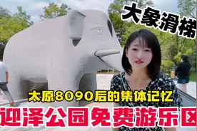 太原迎泽公园免费儿童游乐区开园啦！8090的集体记忆大象滑梯！视频封面