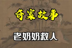 【奇案故事】《老奶奶救人》视频封面