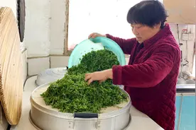 柳树发芽了，老妈捋柳尖做茶叶，先蒸后晒，开水冲一杯清香又解渴视频封面