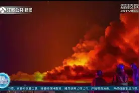 场面骇人！澳大利亚西部突发野火，已烧毁1000多公顷土地视频封面