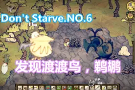 【饥荒海难生存实况】运气再上一台阶！稀有生物渡渡鸟以及鹈鹕视频封面