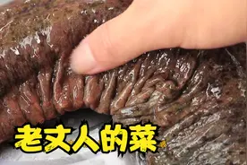 老丈人给女婿拿了一条人工养殖的娃娃鱼，吃着糊嘴巴视频封面