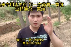 玉米专用杀虫剂，打一次药管一季度，虫卵通杀一窝端视频封面