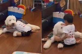 男孩在家犯错被妈妈教训，下一秒哭着找狗狗倾诉，一番话引人爆笑视频封面