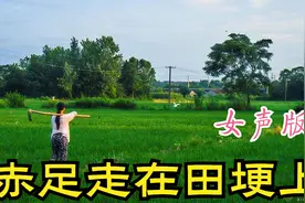 女声版：《赤足走在田埂上》再也回不到从前，淡淡的忧伤视频封面