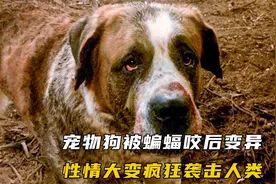 宠物狗变异成嗜血狂犬，疯狂袭击人类，场面触目惊心视频封面
