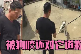 主人被狗咬还要对它道歉，训犬师直言主人分不清主次，被咬就对了视频封面