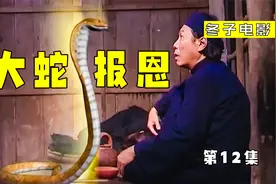 大蛇送男人一颗龙珠，带上它能听懂任何动物说话视频封面