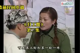 刘晓燕民间小调《打工难》 第二集视频封面