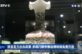 故宫对未成年人免费开放 我国博物馆服务现状如何？视频封面