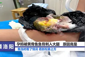 太可怕了！孕妈被黄骨鱼鱼骨刺入大腿，原因竟是视频封面