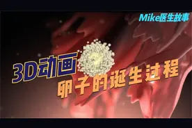动画演示卵巢排卵全过程，原来卵子是这么来的啊视频封面
