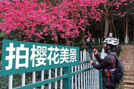 春天的樱花已绽放，用6个运镜拍出春光景色！手机摄影视频封面