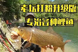 老坛打粉升级版专攻大鲤鱼饵料配方，再也不用买破壁机了视频封面