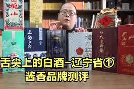 舌尖上的白酒：辽宁省①酱香，凌川酒、千山、凤城老窖和大连老窖视频封面