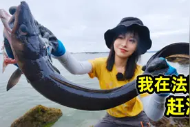 在法国赶海，抓1米长海鳗鱼形似黑蛇，炖海鲜锅鲜香味美视频封面