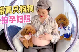孕妈妈带着狗狗拍孕妇照，爱臭美的小泰迪太抢镜了，好暖！视频封面