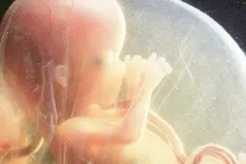 胎儿生活在羊水中，是怎么呼吸的？不会窒息么？涨知识了！视频封面