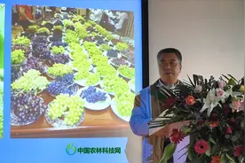 西农张宗勤教授：阳光玫瑰葡萄具有香、脆、甜、靓和耐储运的优点视频封面
