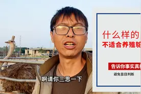 什么人不适合做鸵鸟养殖？有两种，不愿意承担风险和不能承担风险视频封面