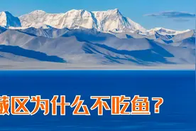 西藏藏区为什么不吃鱼，因为不喜欢吃？这就给你来揭秘！视频封面