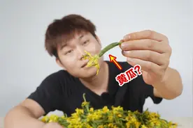 试吃一口能吃十根的迷你小黄瓜，52.8买了2斤，到底有多大？视频封面