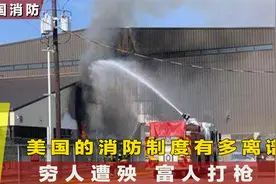 美国消防和中国有什么区别？有火不救看热闹，救灾全凭搜救犬视频封面