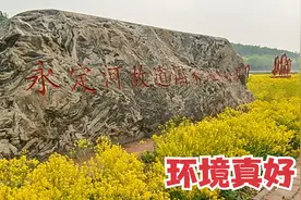 很多人不知道，天津武清这个地方，还藏着一个国家级湿地公园视频封面