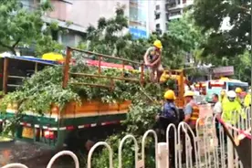 广州突发狂风暴雨，市区有3棵大树倒塌，三车道被迫变一车道视频封面