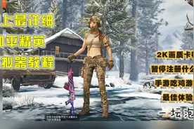 和平精英：和平精英模拟器超详细使用教程，2K画质极致流畅体验视频封面
