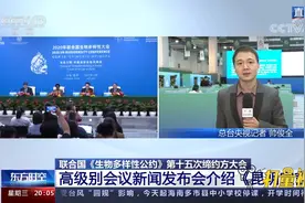 联合国生物多样性大会通过《昆明宣言》|东方时空视频封面