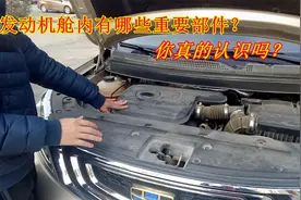 发动机舱内到底有哪些部件？开车十年都未必懂得，老司机现场详解视频封面