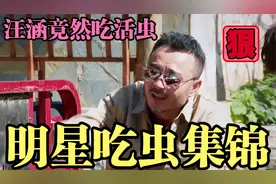 明星吃虫：汪涵竟然吃活虫，郭富城第一次吃虫吃上瘾，你敢试试吗视频封面
