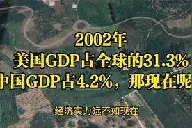 2002年，美国GDP占全球的31.3%，中国GDP占4.2%，那现在呢？视频封面